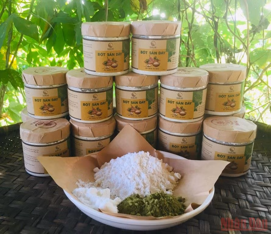Bài 4: Người đi tìm bình an trong màu xanh của rừng -0