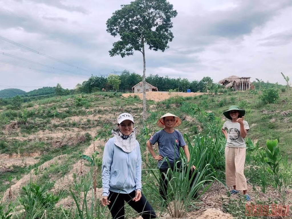 Bài 4: Người đi tìm bình an trong màu xanh của rừng -0