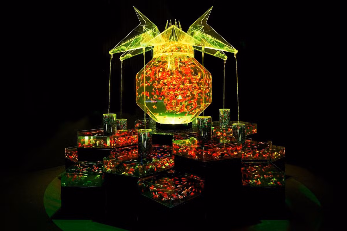 Huyền bí sắc màu Art Aquarium ở thủ đô Tokyo -7