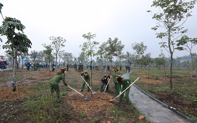 Phát triển kinh tế lâm nghiệp bền vững -0