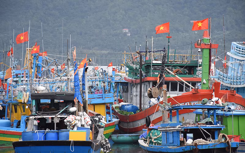 Những hải trình mang vị đời thấm ngọt -0