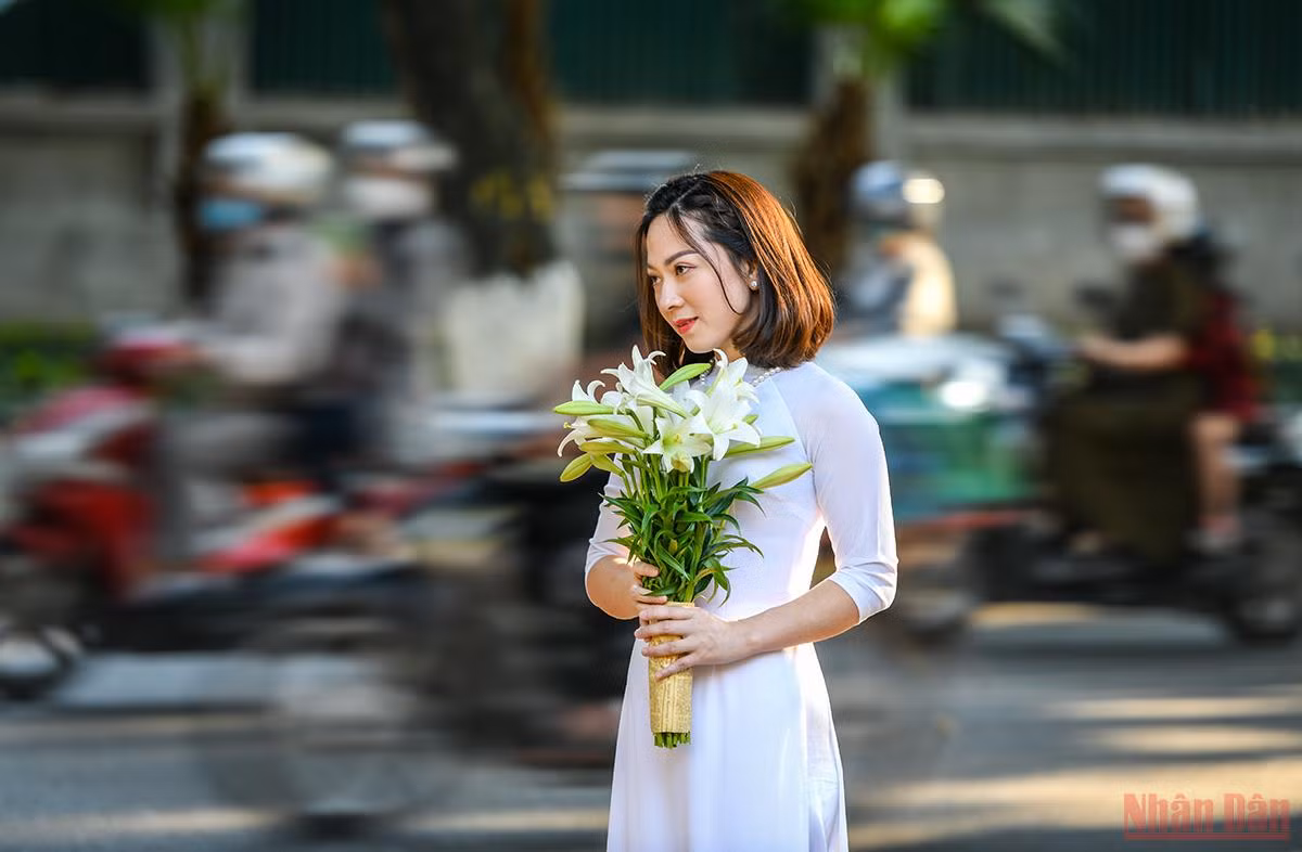 Tháng tư mùa hoa loa kèn tinh khôi xuống phố Hà Nội -0