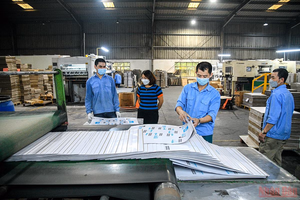 Các doanh nghiệp trong nước nỗ lực vượt khó, tăng đà phục hồi -0