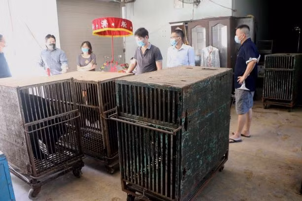 Bốn cá thể gấu cuối cùng tại Rạp xiếc Trung ương không còn phải biểu diễn xiếc -0
