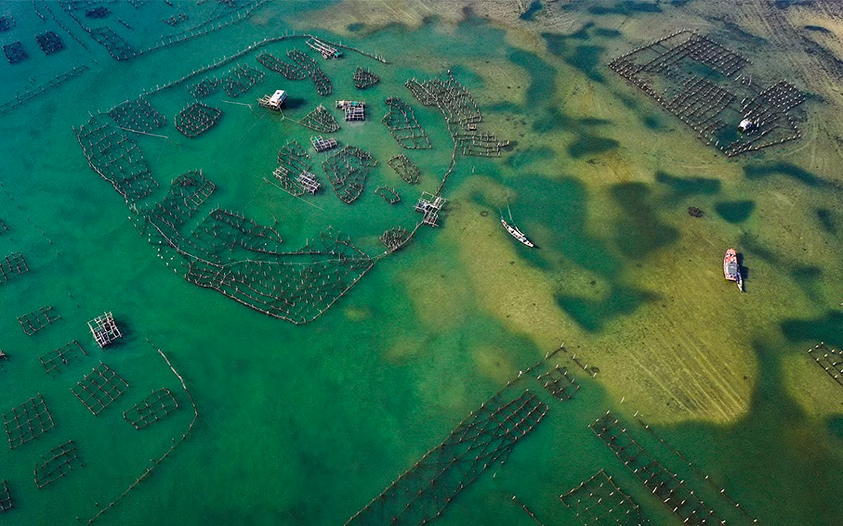 Sắc màu di sản miền Trung ấn tượng trên Bảo tàng số Goolge Arts&Culture -0