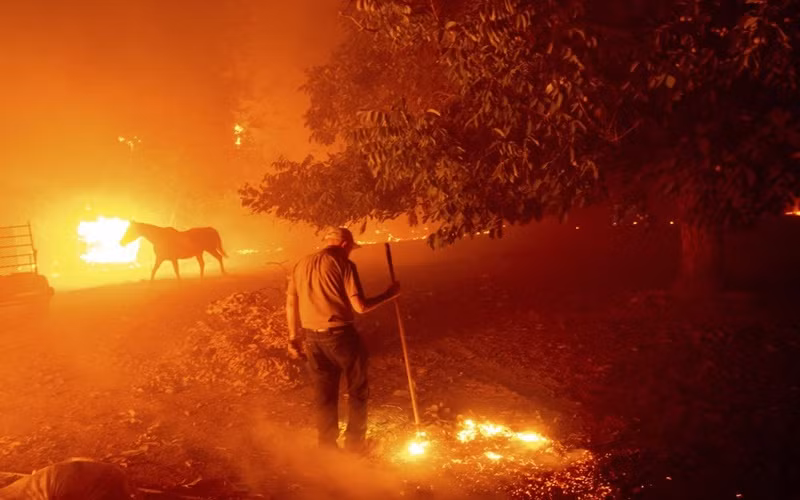 California trong vòng vây của “giặc lửa” -0