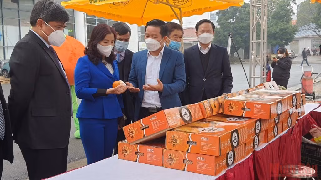 Nhiều đặc sản vùng miền phục vụ người dân Thủ đô dịp Tết Nhâm Dần -0