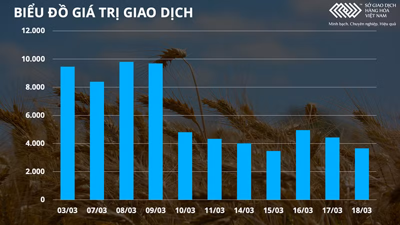 Thị trường chịu nhiều áp lực, siêu chu kỳ tăng giá hàng hóa liệu đã kết thúc? -0