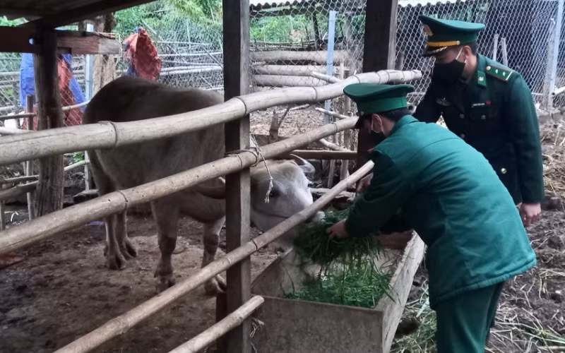 Đồn Biên phòng cửa khẩu Chiềng Khương (Sơn La) giúp dân giữa mùa dịch -0