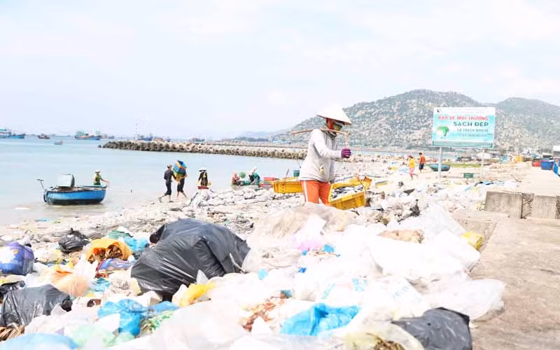 Rác thải ven biển Ninh Thuận gây ô nhiễm nghiêm trọng -0
