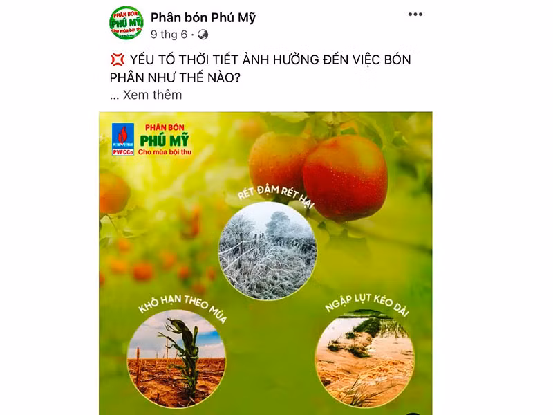 Nỗ lực và tấm lòng của người lao động PVFCCo trong đại dịch -0