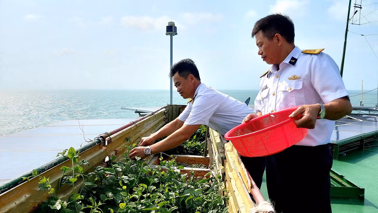 Những hình ảnh Tết đến với người lính trên nhà giàn DK1 -2