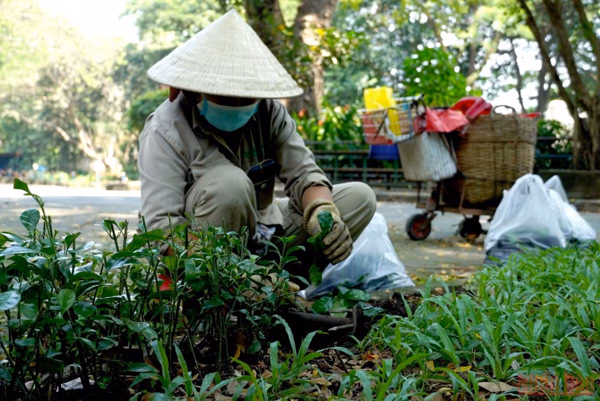Thảo Cầm Viên Sài Gòn trước ngày mở cửa trở lại -1