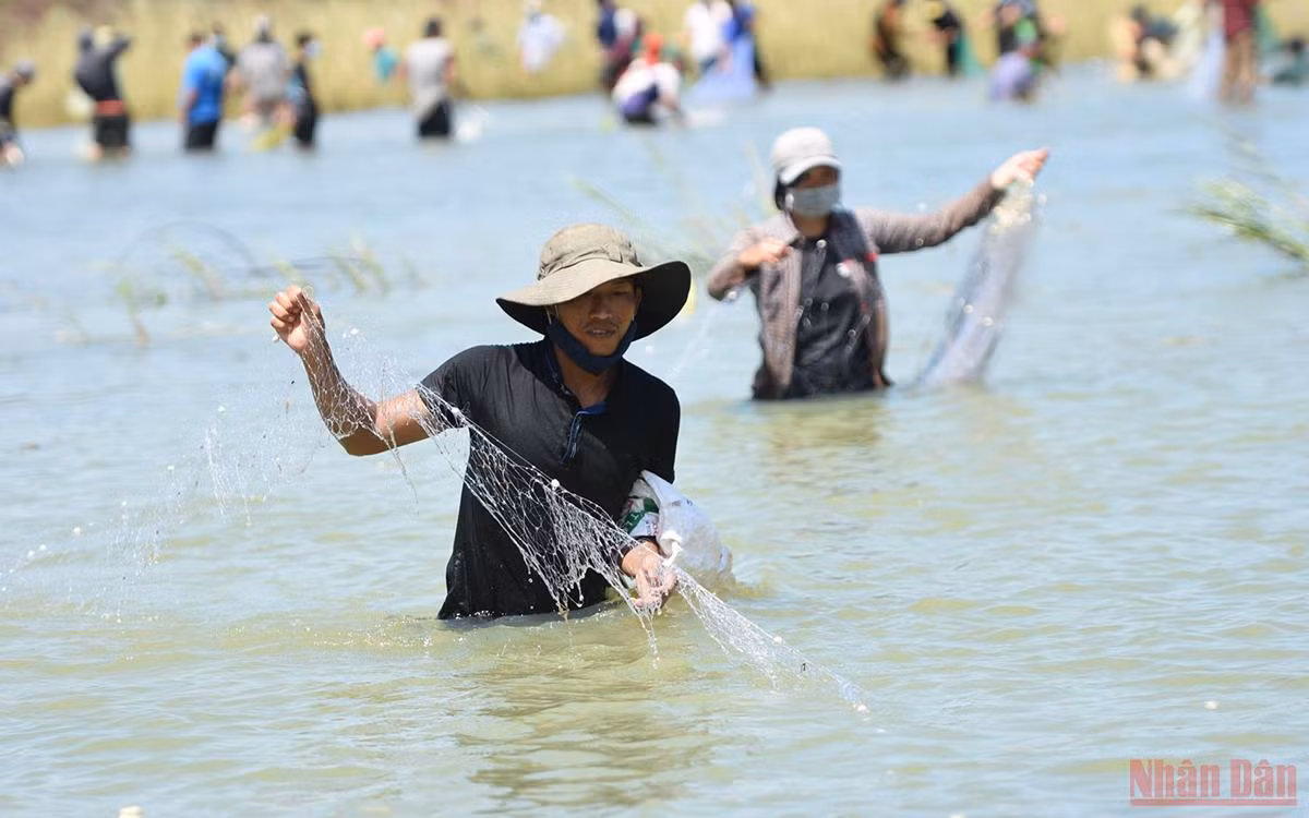 Dong_Nai_5-1635406217296.jpg