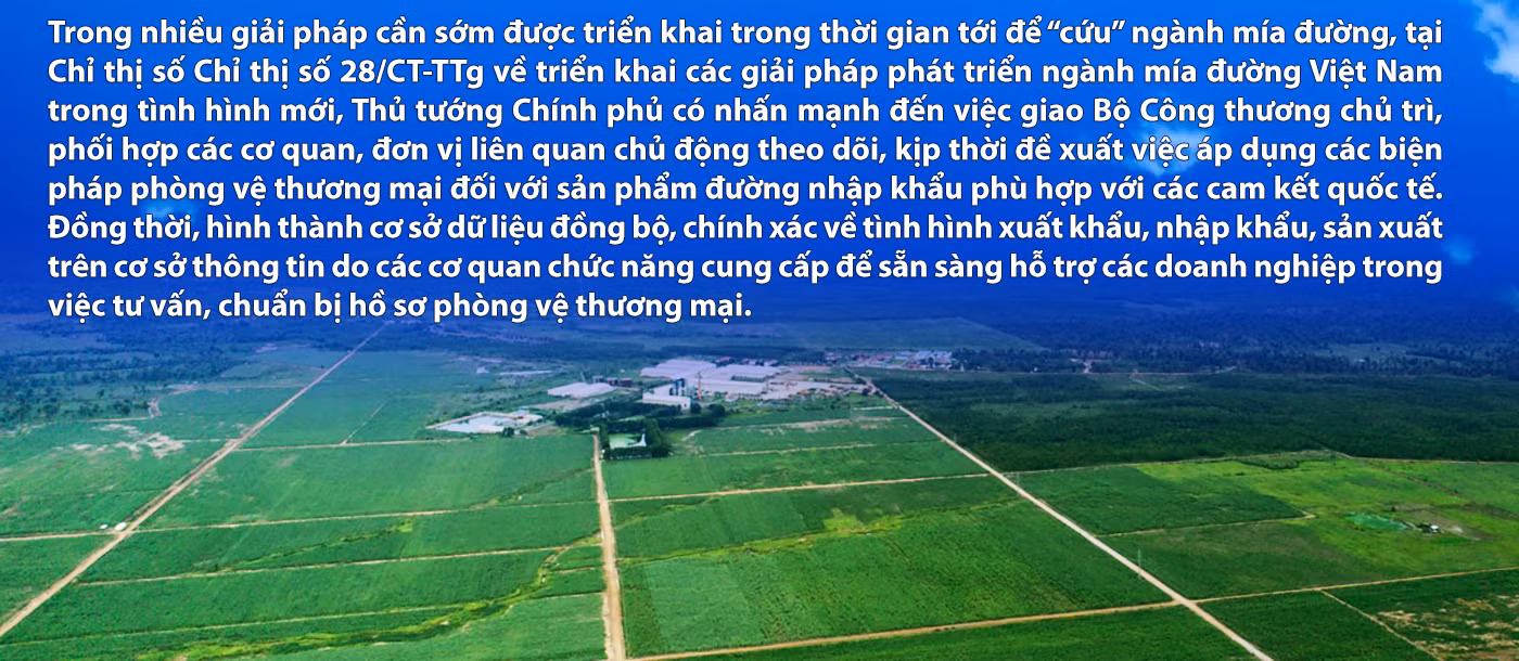 Mía đường “lâm nguy” -0