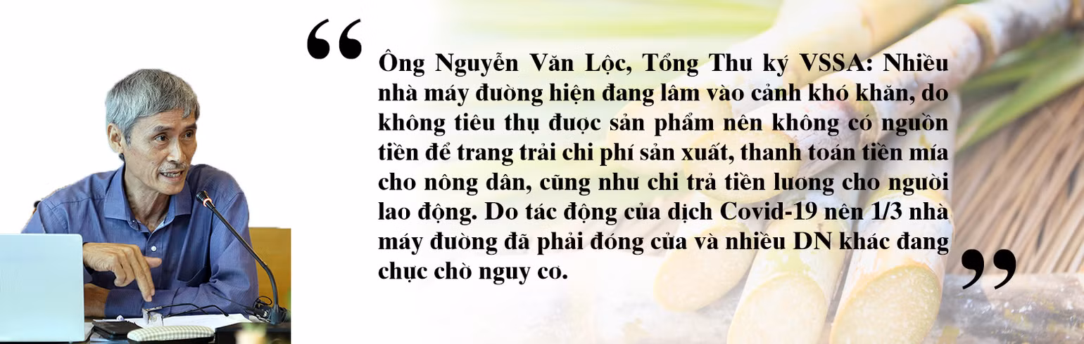 quote1-1599632222301.jpg
