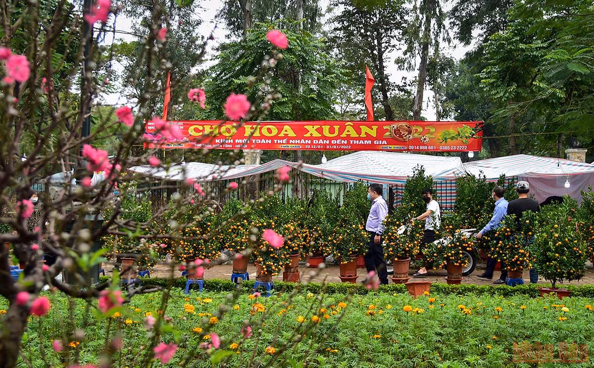 Hà Nội “thay áo mới” rực rỡ đón Xuân Nhâm Dần 2022 -0