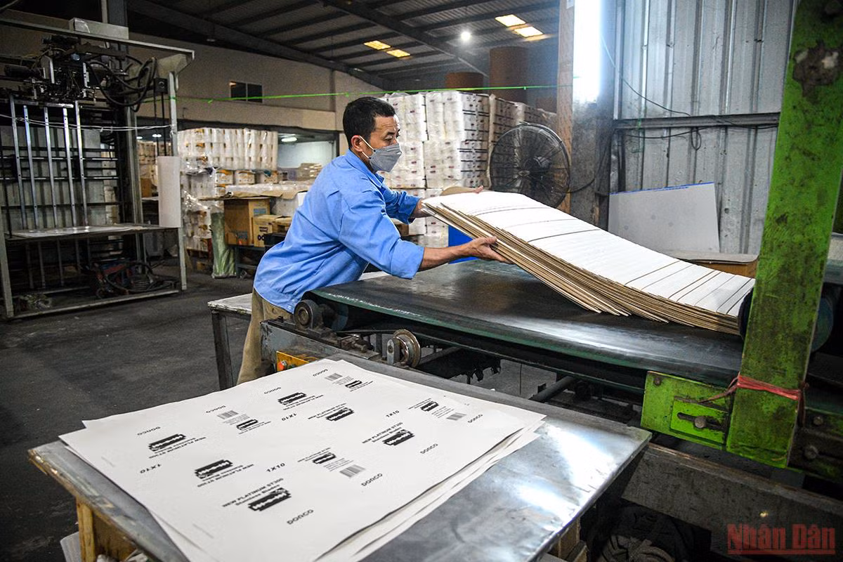 Các doanh nghiệp trong nước nỗ lực vượt khó, tăng đà phục hồi -0