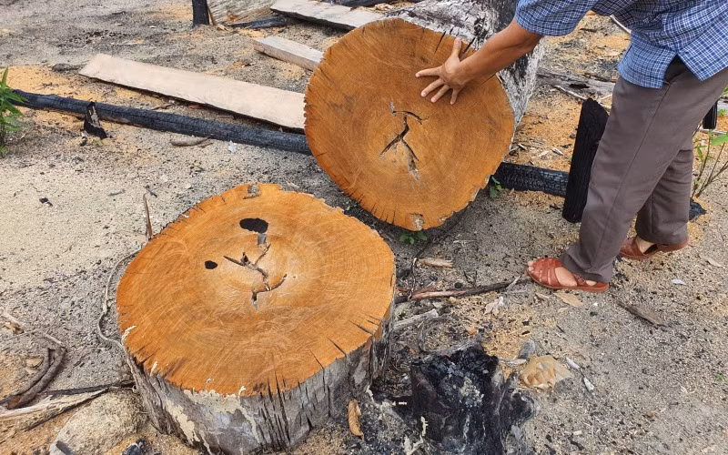 Đùn đẩy trách nhiệm quản lý 17ha đất rừng bị tàn phá -0