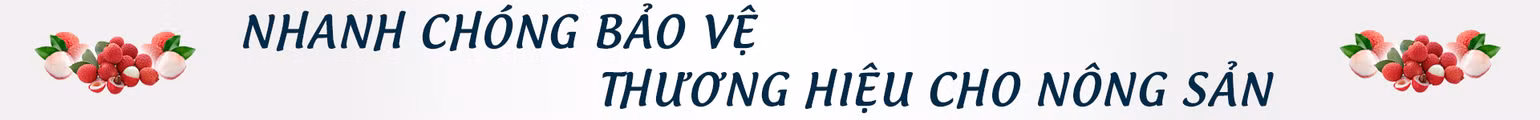 Vải thiều và câu chuyện xây dựng thương hiệu -0