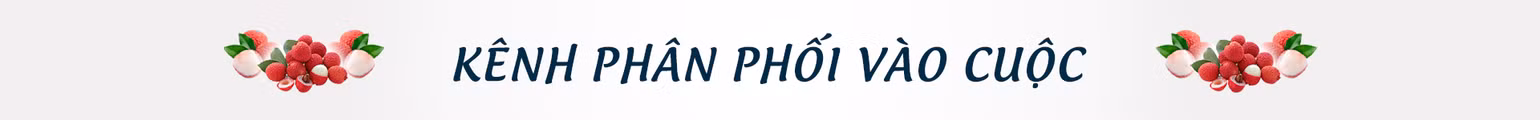 Kỳ tích vải thiều giữa đại dịch Covid-19 -0