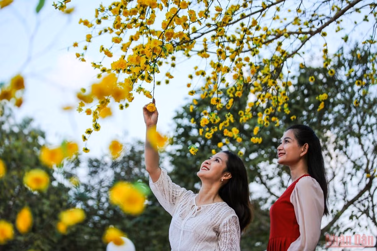 Mùng 4 Tết, du khách tấp nập “cưỡi mây” vãn cảnh đỉnh Núi Sam -0
