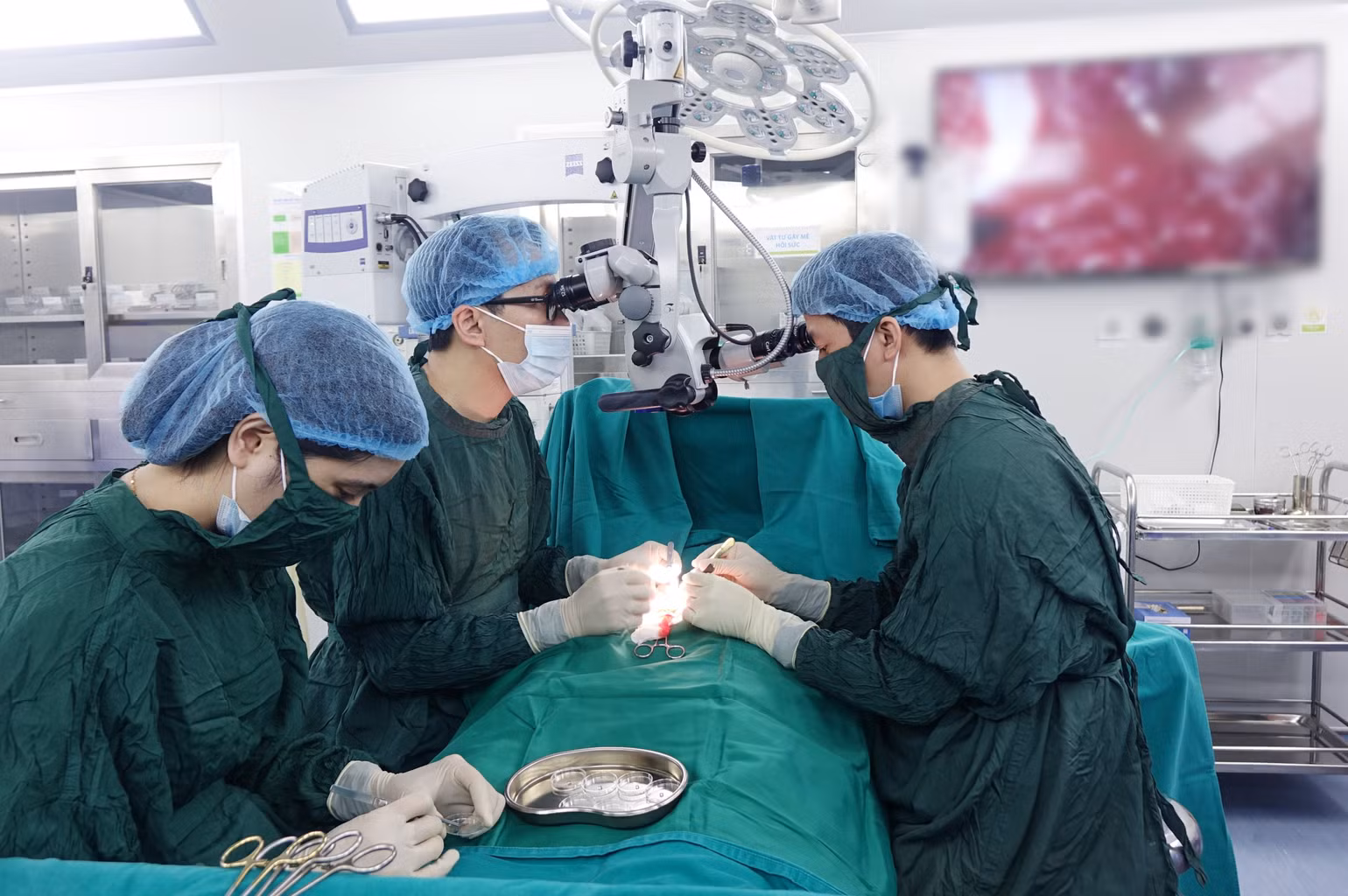 Hạnh phúc vỡ òa của những cặp vợ chồng hiếm muộn -0