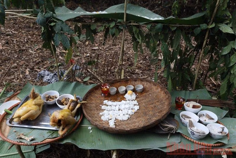 Cho rừng mãi xanh -0
