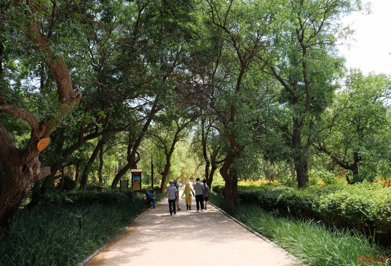 Khám phá sa mạc Tengger Trung Quốc -0