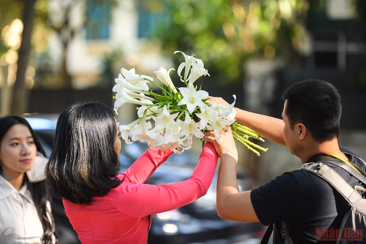 Tháng tư mùa hoa loa kèn tinh khôi xuống phố Hà Nội -0