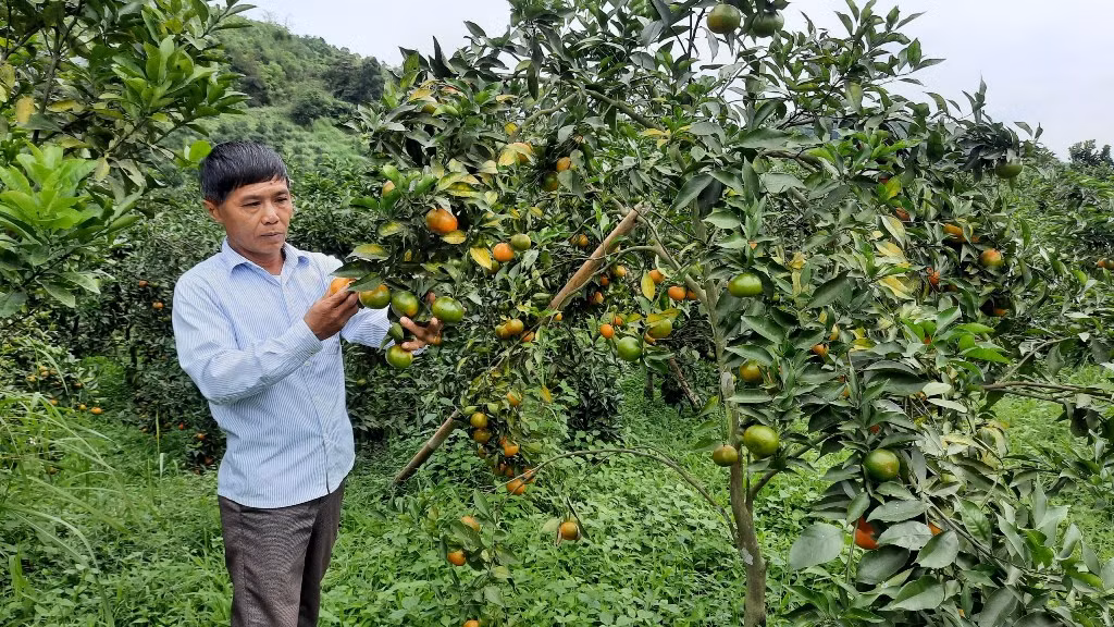 Khoa học và công nghệ thúc đẩy phát triển vùng dân tộc thiểu số và miền núi phía bắc -0