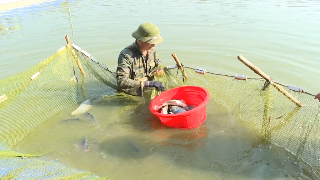 Khoa học và công nghệ thúc đẩy phát triển vùng dân tộc thiểu số và miền núi phía bắc -0