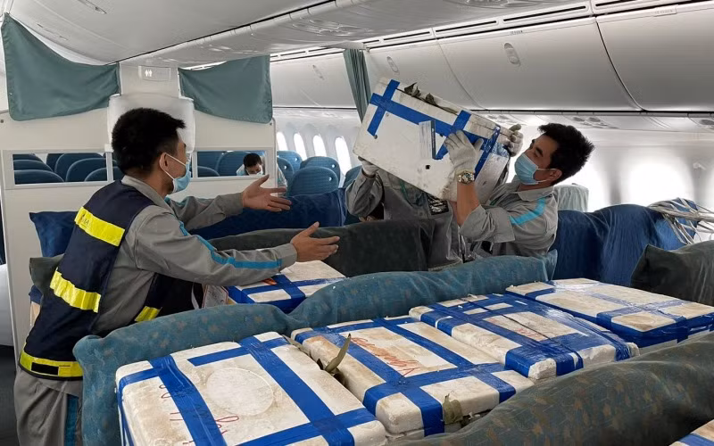 Vải thiều Bắc Giang “ngồi” ghế siêu máy bay vào TP Hồ Chí Minh -0