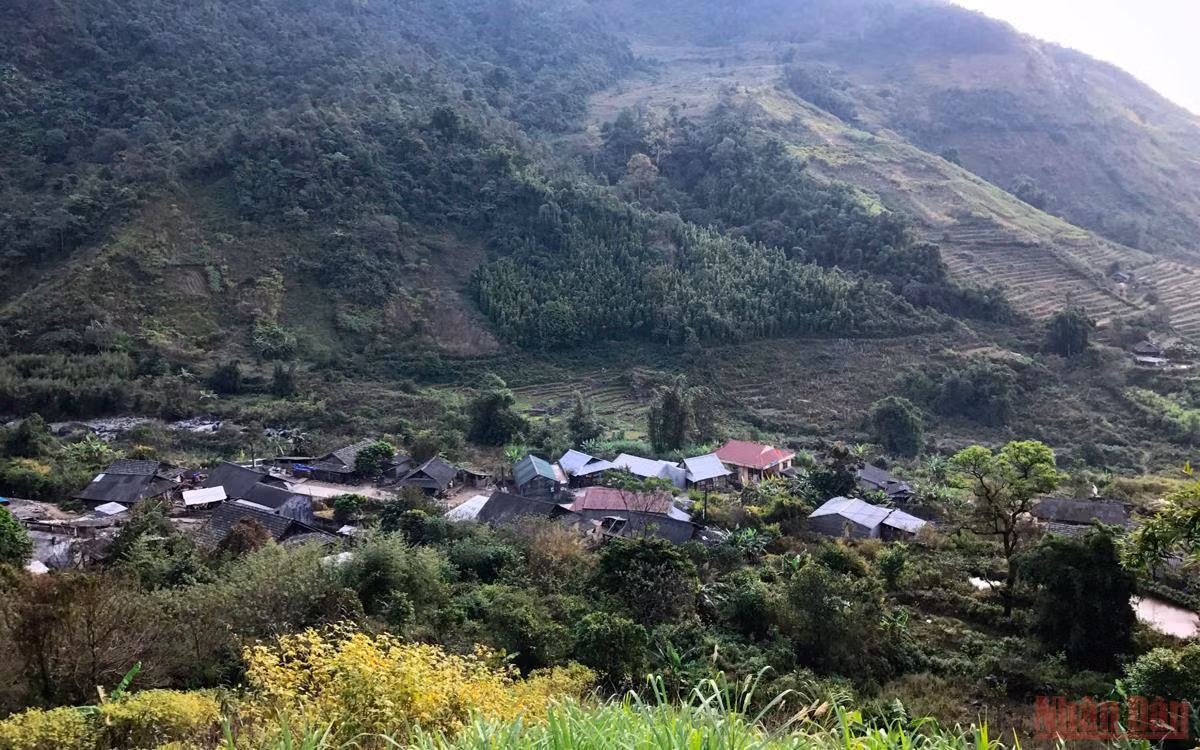 Xanh ngát màu Pu Ta Leng -0