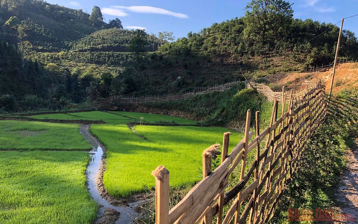 Kỳ 1: Homestay “Nhà em ở lưng đồi” -7
