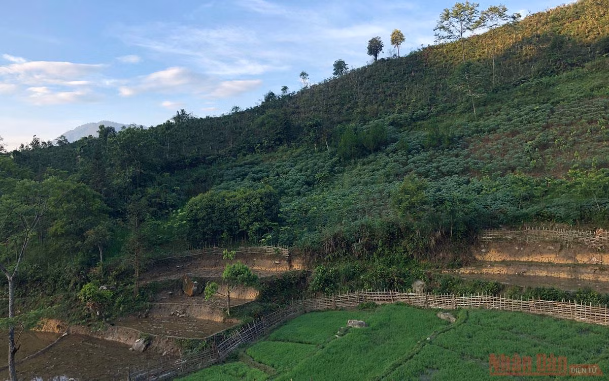 Kỳ 1: Homestay “Nhà em ở lưng đồi” -4