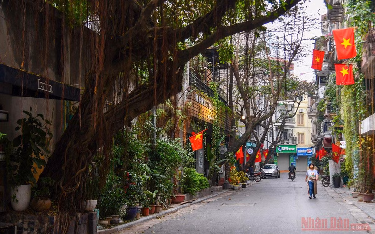 Hà Nội thanh bình trong sớm mùng 1 Tết -0