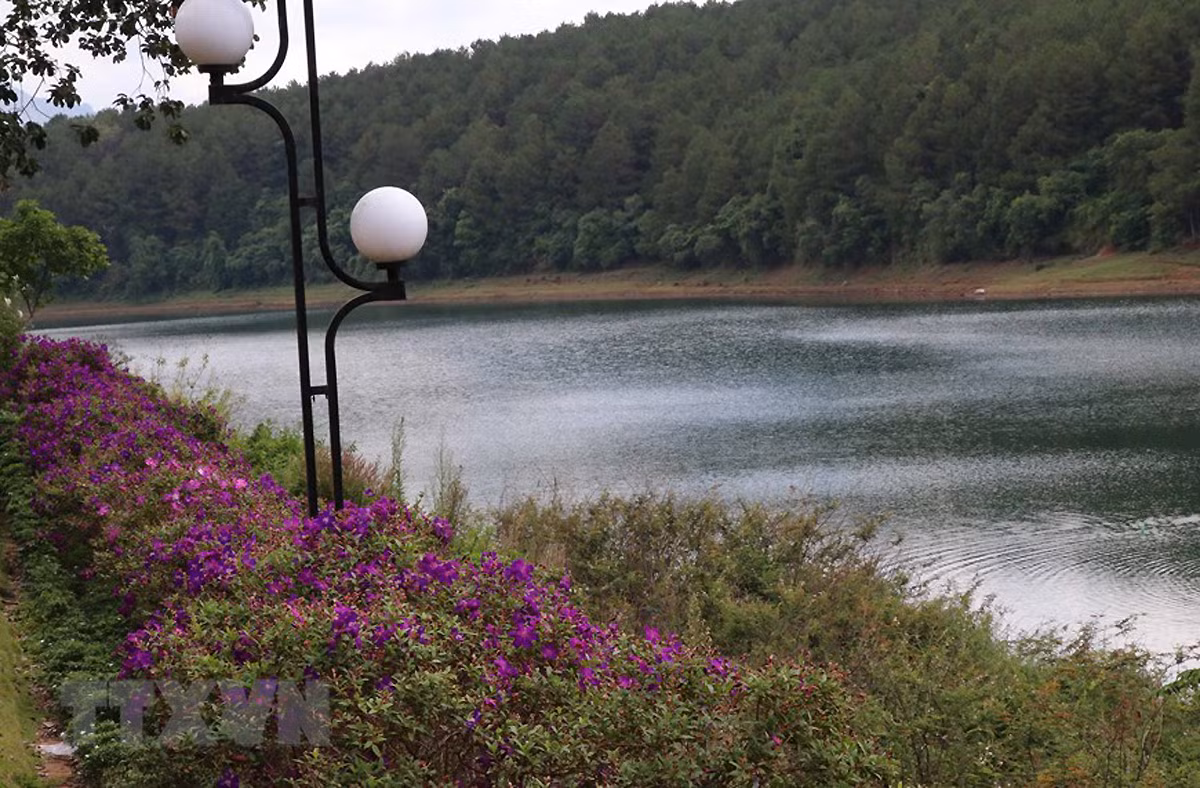 Khám phá Biển Hồ - điểm nhấn của du lịch Gia Lai -0