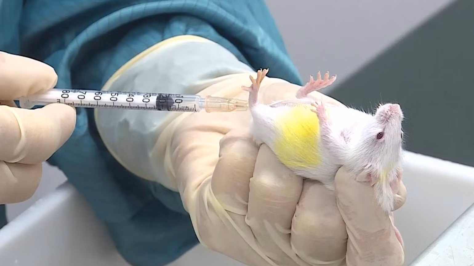 Việt Nam sẵn sàng thử nghiệm vaccine ngừa Covid-19 trên người -0