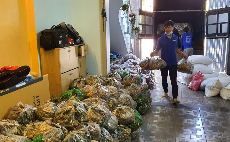 Giúp nông dân Bà Rịa-Vũng Tàu tiêu thụ nông sản -0