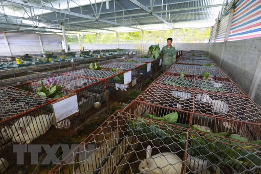 Điện Biên vượt qua vết thương chiến tranh, khoác lên mình diện mạo mới -0