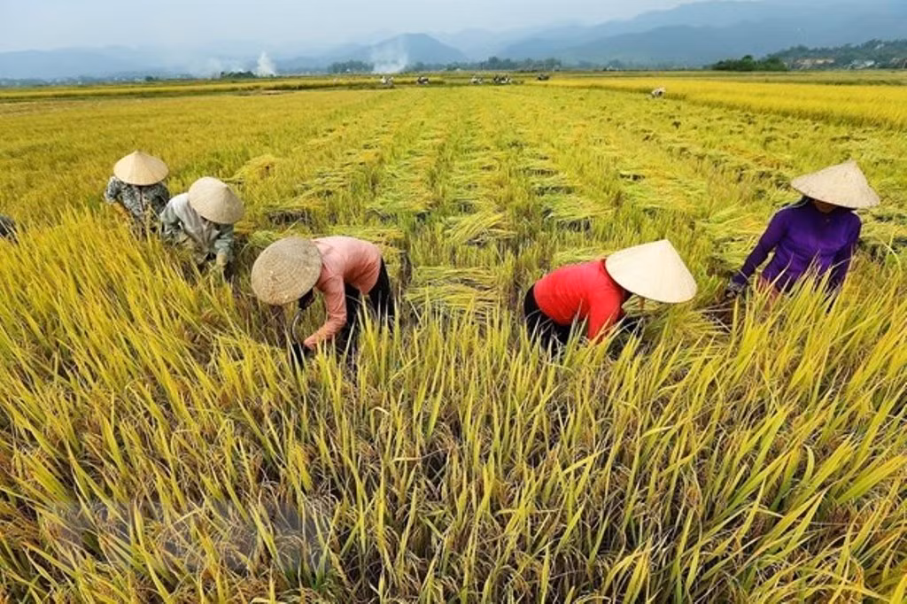 Điện Biên vượt qua vết thương chiến tranh, khoác lên mình diện mạo mới -0