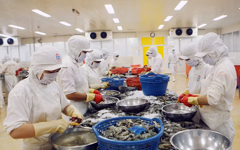 Đẩy mạnh xuất khẩu nông sản chính ngạch sang Trung Quốc -0