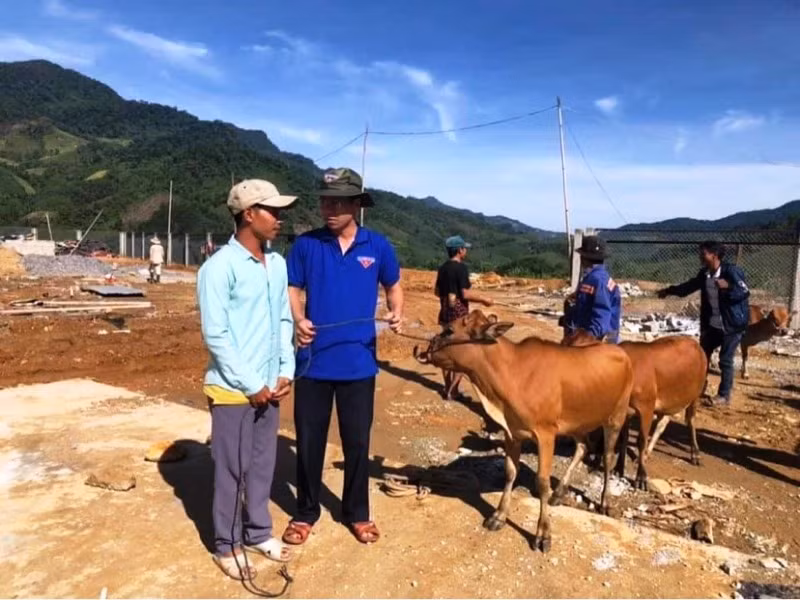 Khi thanh niên nghèo trèo lên đỉnh núi -0