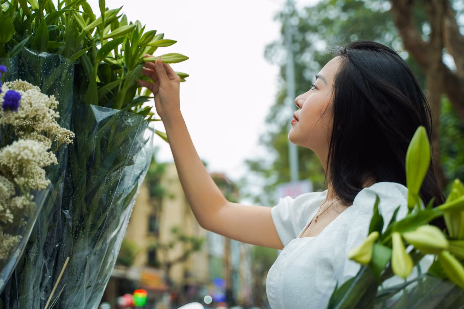 Sắc hoa loa kèn ngày cuối mùa -0