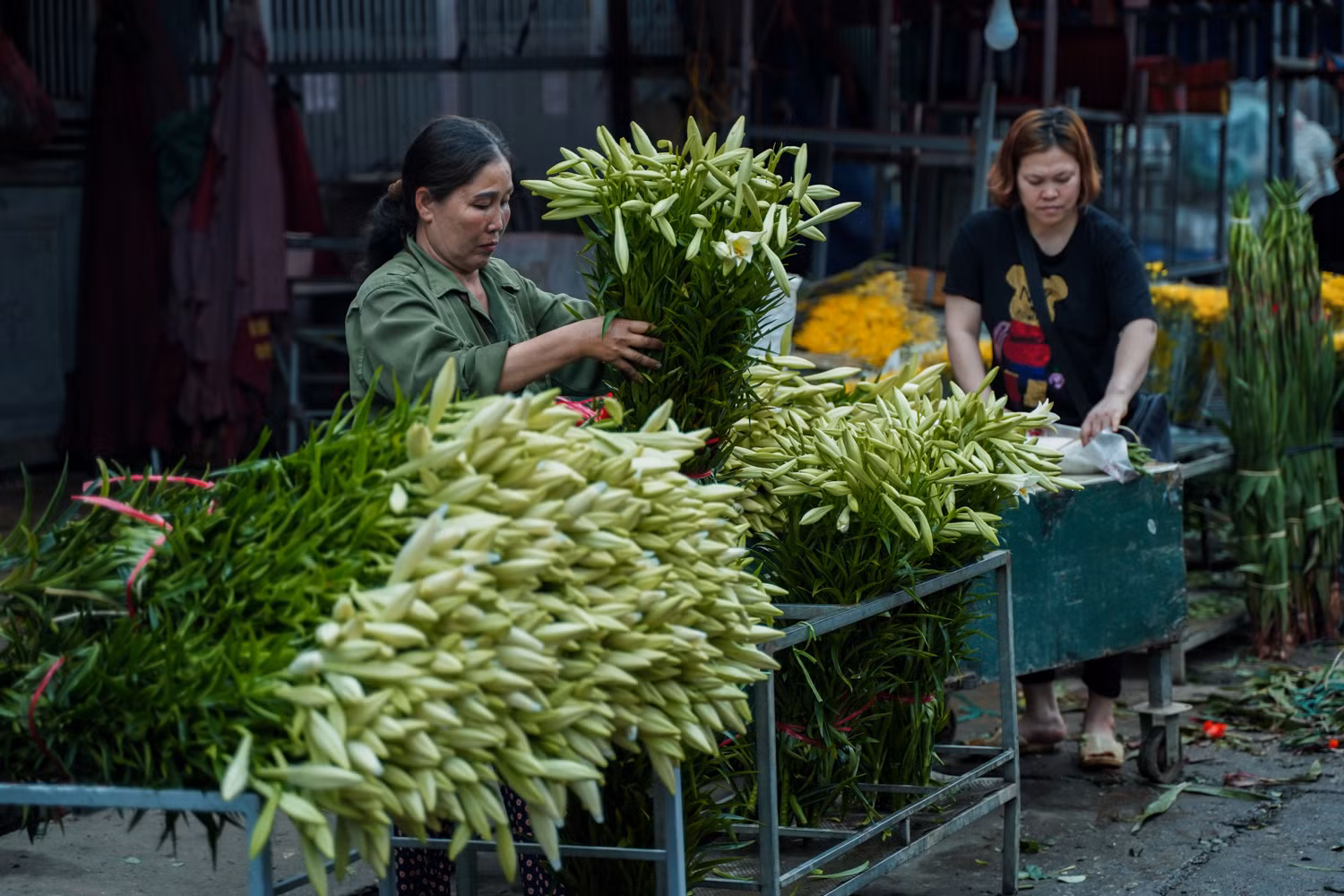 Sắc hoa loa kèn ngày cuối mùa -1