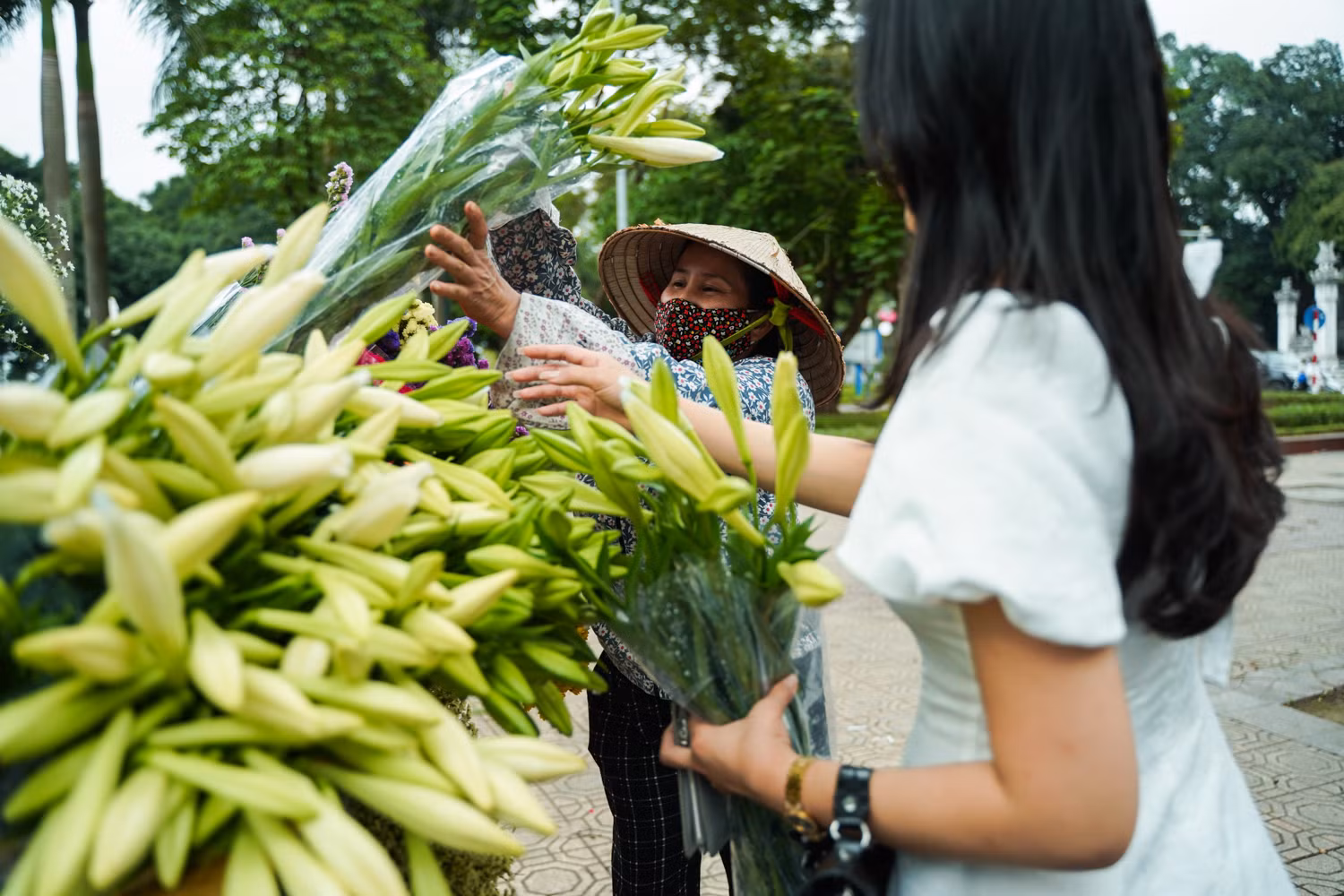 Sắc hoa loa kèn ngày cuối mùa -0