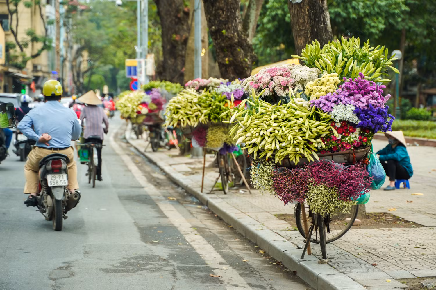 Sắc hoa loa kèn ngày cuối mùa -3