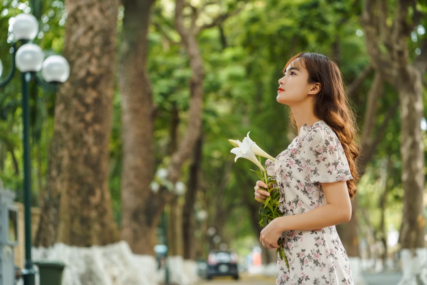 Sắc hoa loa kèn ngày cuối mùa -0