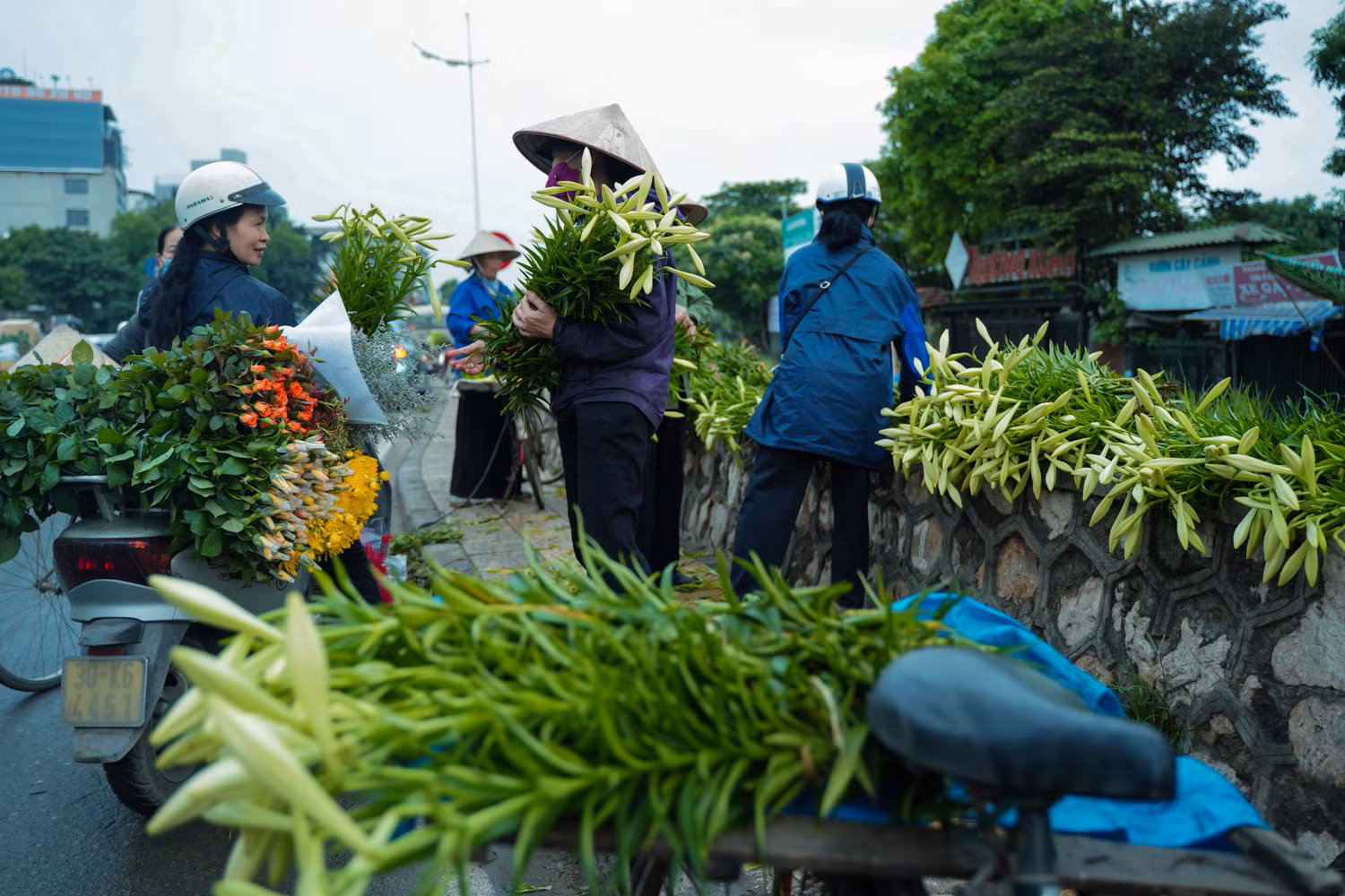 Sắc hoa loa kèn ngày cuối mùa -0
